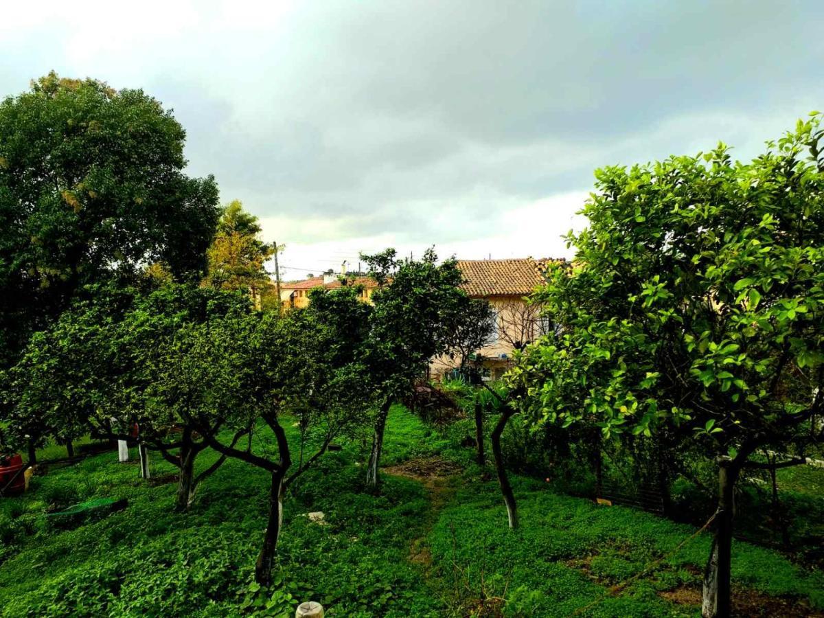 Villa Rosa Garden House Corfu (city) Exterior foto